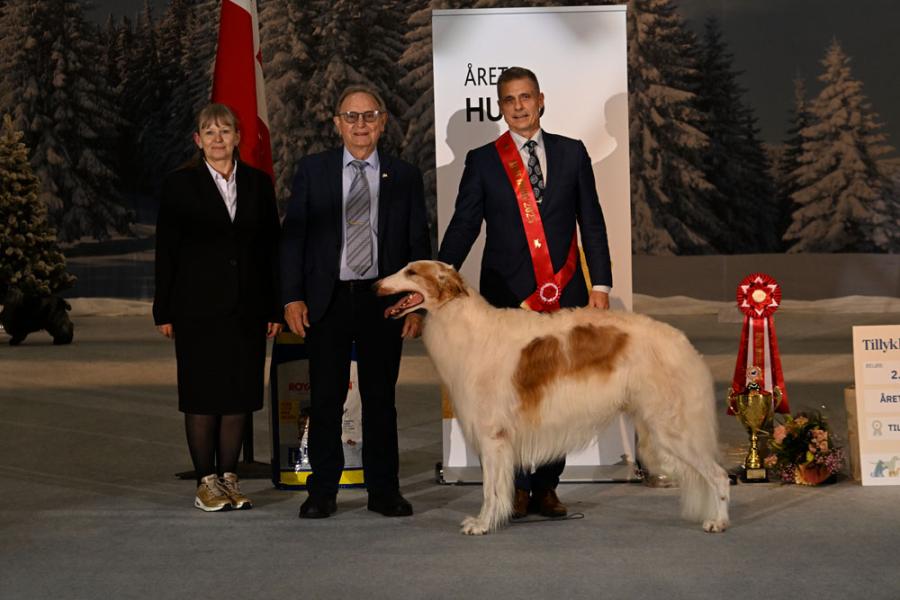 Dog of the year, Borzoi, Borscana Sing A Song